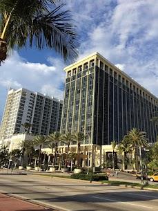 The Miami Beach Resort