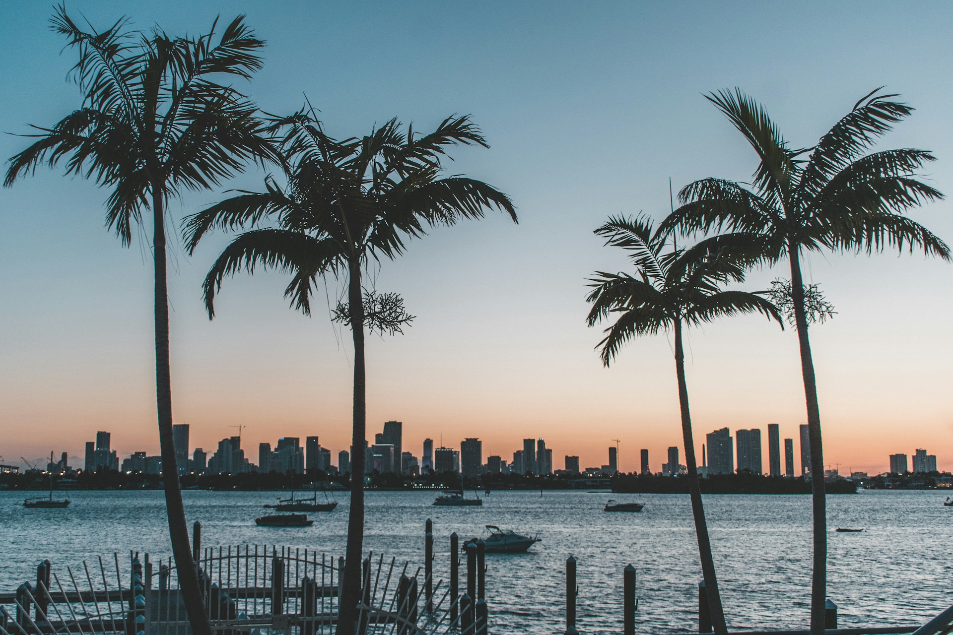 Tampa Bay skyline
